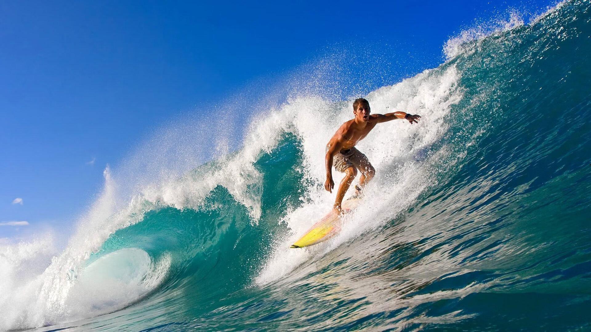 theScore评选近五年最佳阵容，库里与约基奇领衔，定义篮球新时代